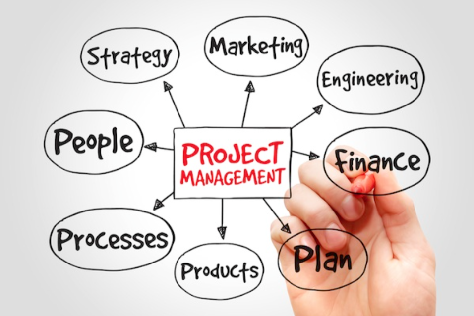 Project management